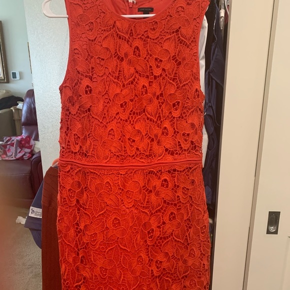 Ann Taylor Dress 14 Womens Plus Size Sleeveless, - Picture 3 of 3